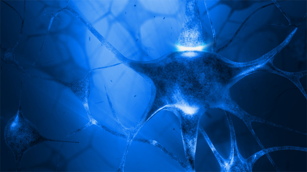 Neuron